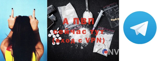 индика Карпинск