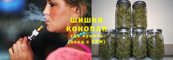 индика Карпинск