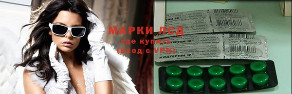 индика Карпинск