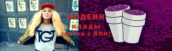 индика Карпинск