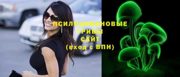 индика Карпинск