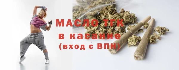 индика Карпинск