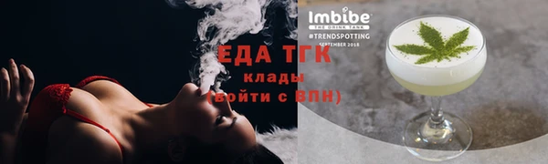 индика Карпинск