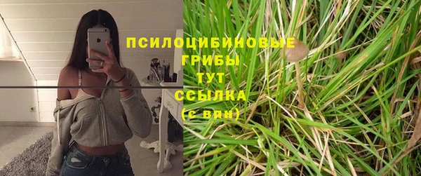 apvp Киренск