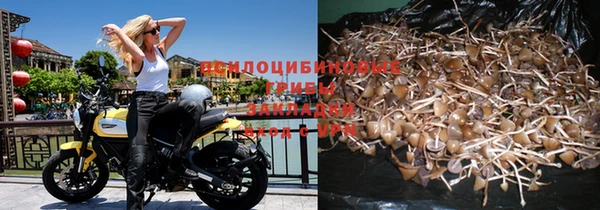 круглые Карталы