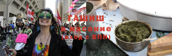 индика Карпинск