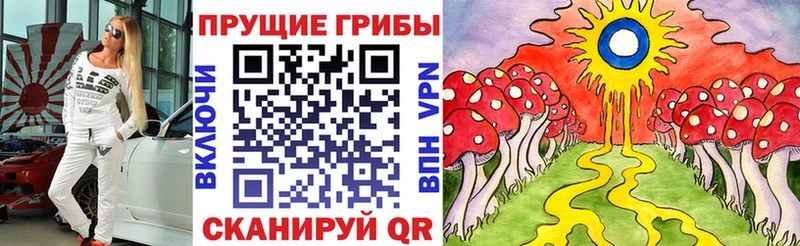 Галлюциногенные грибы Cubensis  Купить где  Тамбов 