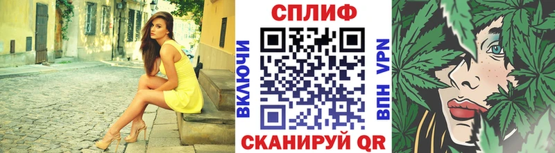 Купить где  Тамбов  Каннабис сатива 